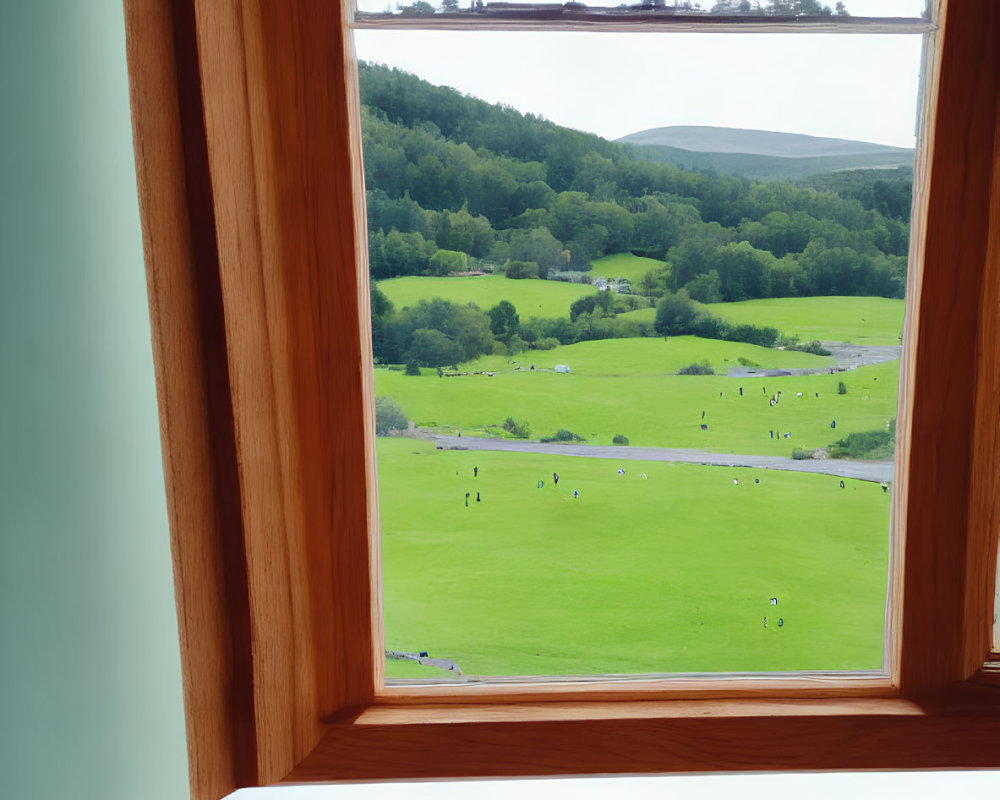 Person looking out large window at lush green landscape with scattered trees and distant hills under partly cloudy sky