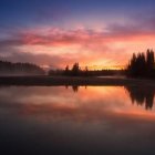 Tranquil sunrise with silhouetted trees and calm water reflection