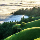 Scenic watercolor landscape of misty mountains and green hills