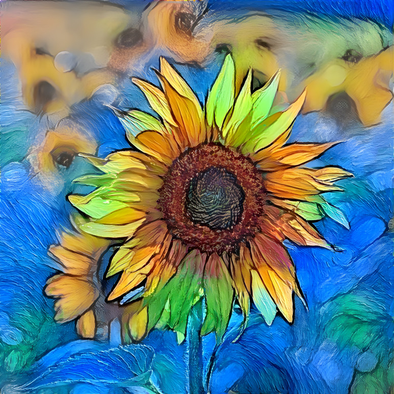 Sunflower