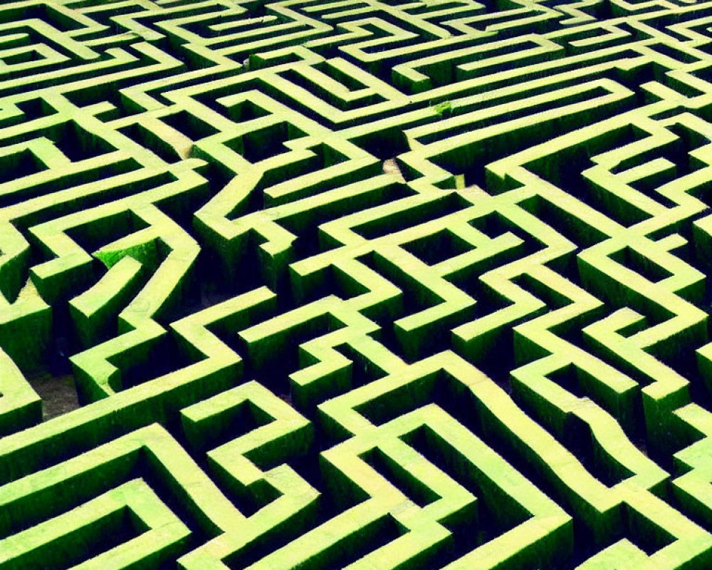 Intricate Green Hedge Maze from Above