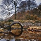 Tranquil autumn landscape with stone bridge, river, trees, and houses