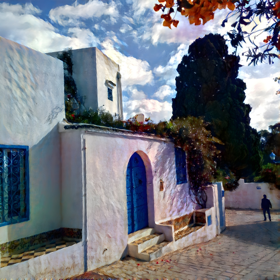 Sidi Bou Said afternoo by TYNA Dr Geronimi