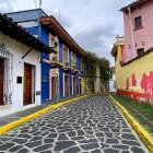 Colorful alleyway scene with blooming flowers and cobblestone path