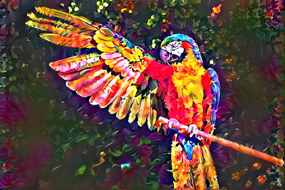 Parrot