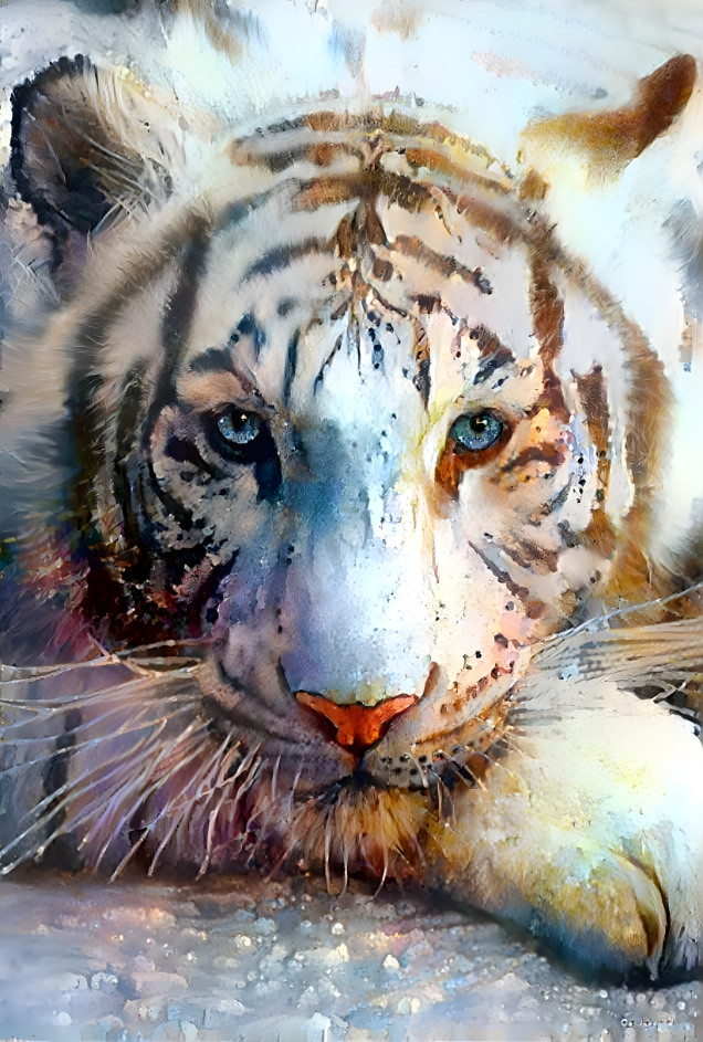 White tiger