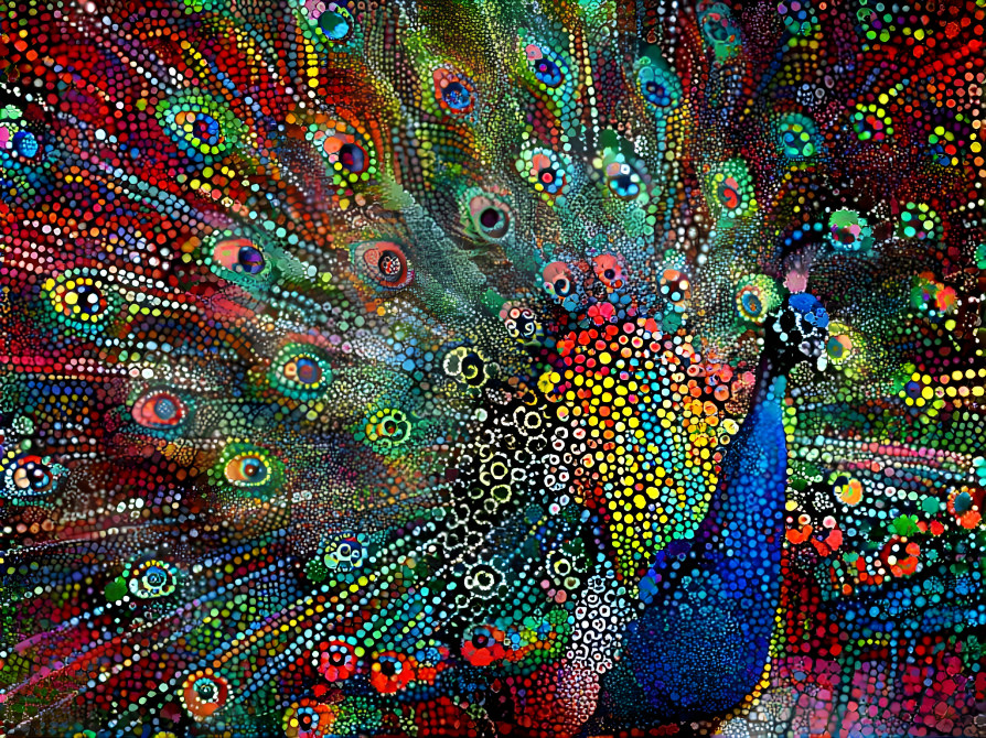 Peacock