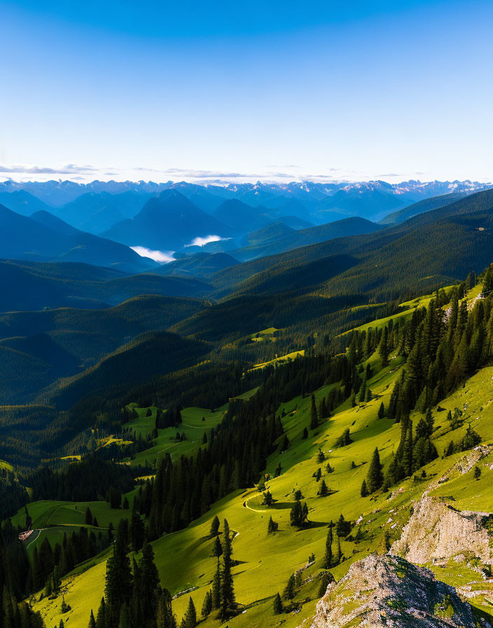 Scenic landscape of lush green hills, forest, and mountains under a blue sky