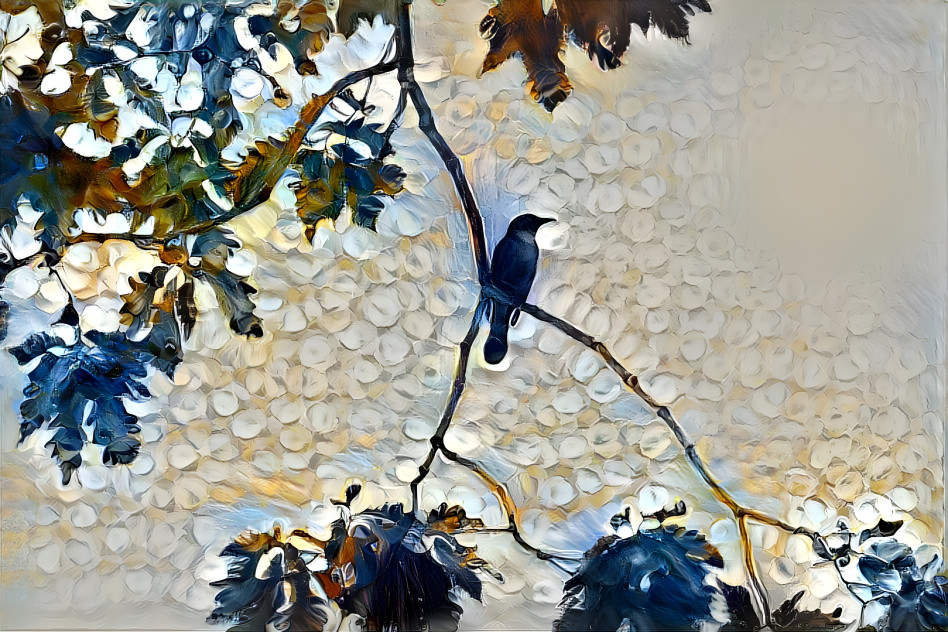 Bird on a Limb