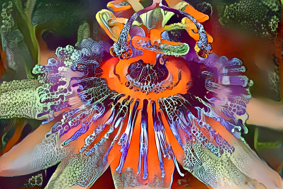 Passion Flower, 2