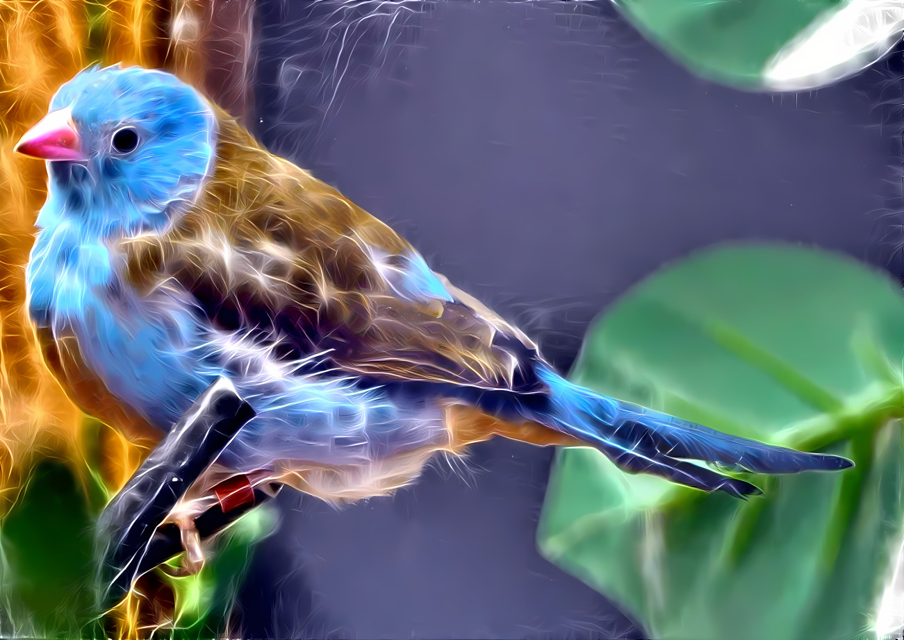 Fractalius Finch