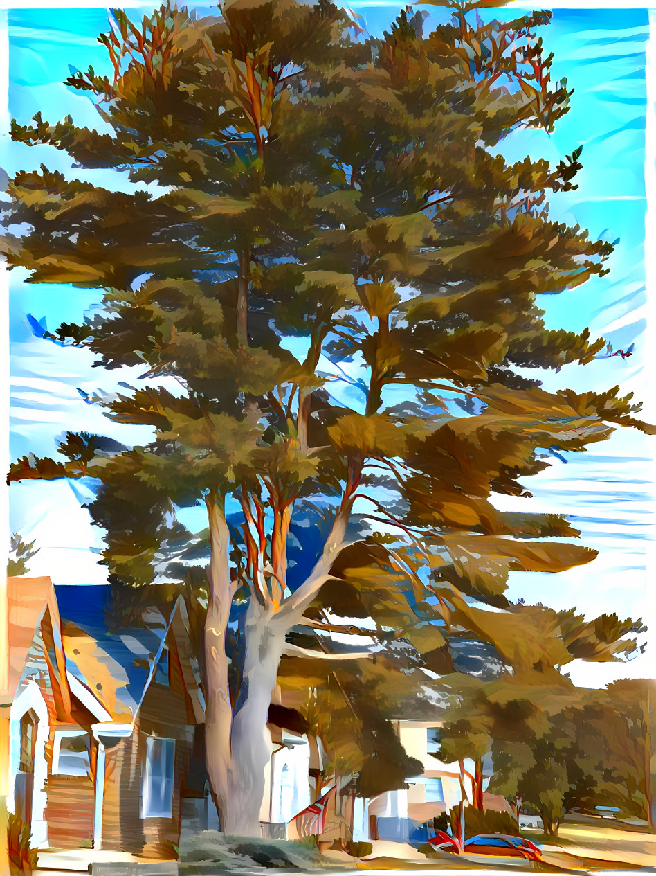 Massive tree, small house