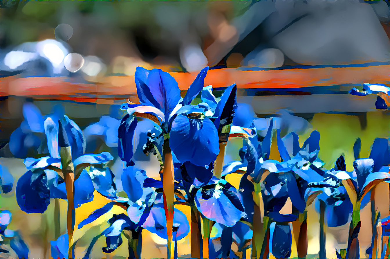 Muehldorf Irises