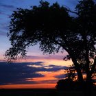 Vibrant orange and blue sunset silhouettes trees against cloudy sky