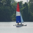 Colorful sailboat painting on calm waters with forest landscape