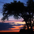 Colorful sunset countryside scene with tree silhouette and houses