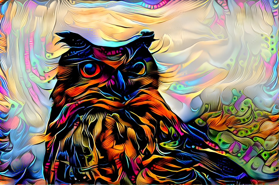 Owl