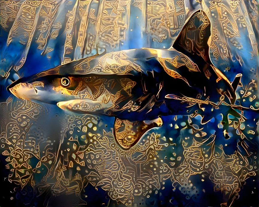 Golden Shark