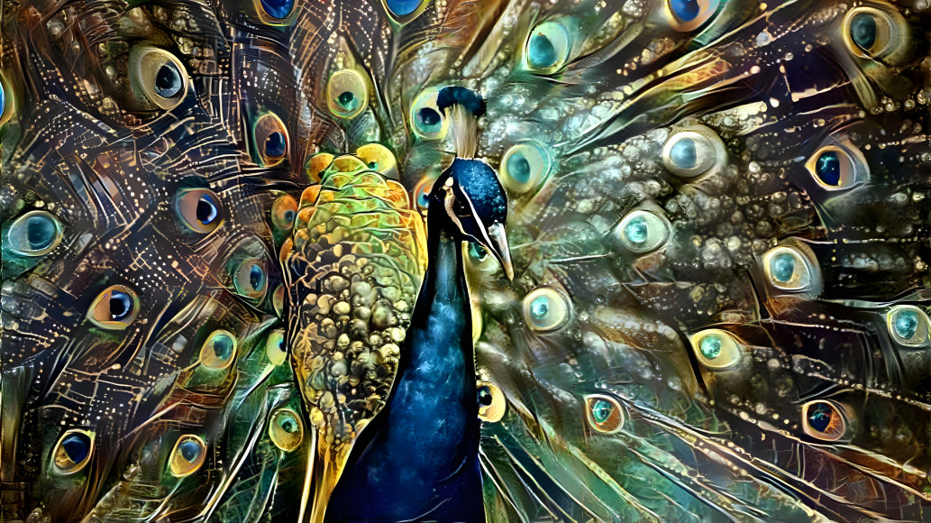 Peacock