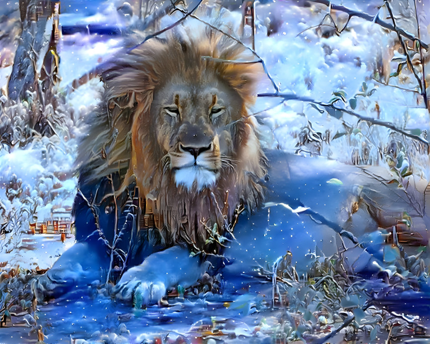 Winter Lion