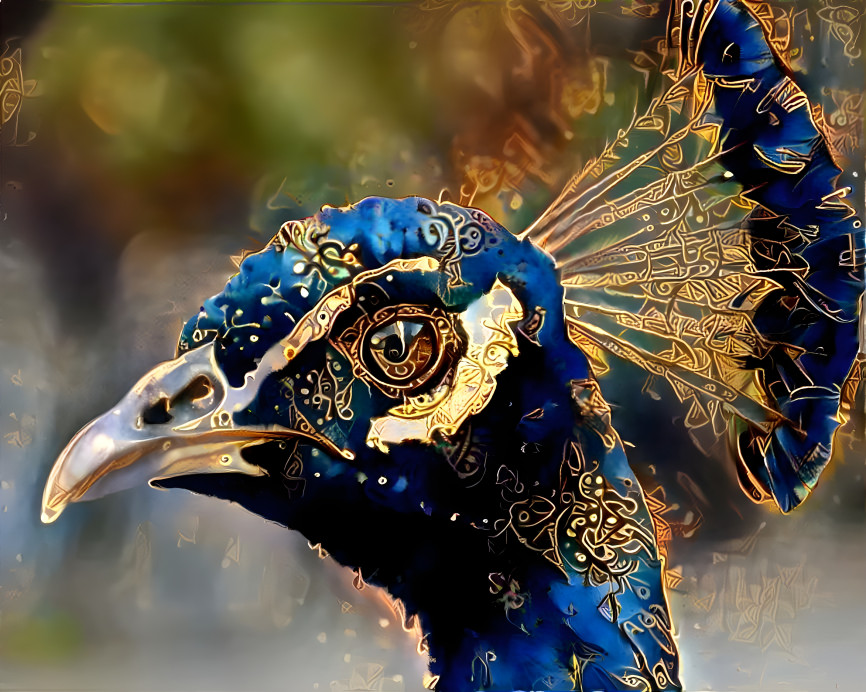 Peacock