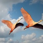 Stylized mythical birds flying over serene landscape with pillars