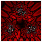 Detailed Red Poppies with Blue and Black Centers on Dark Background