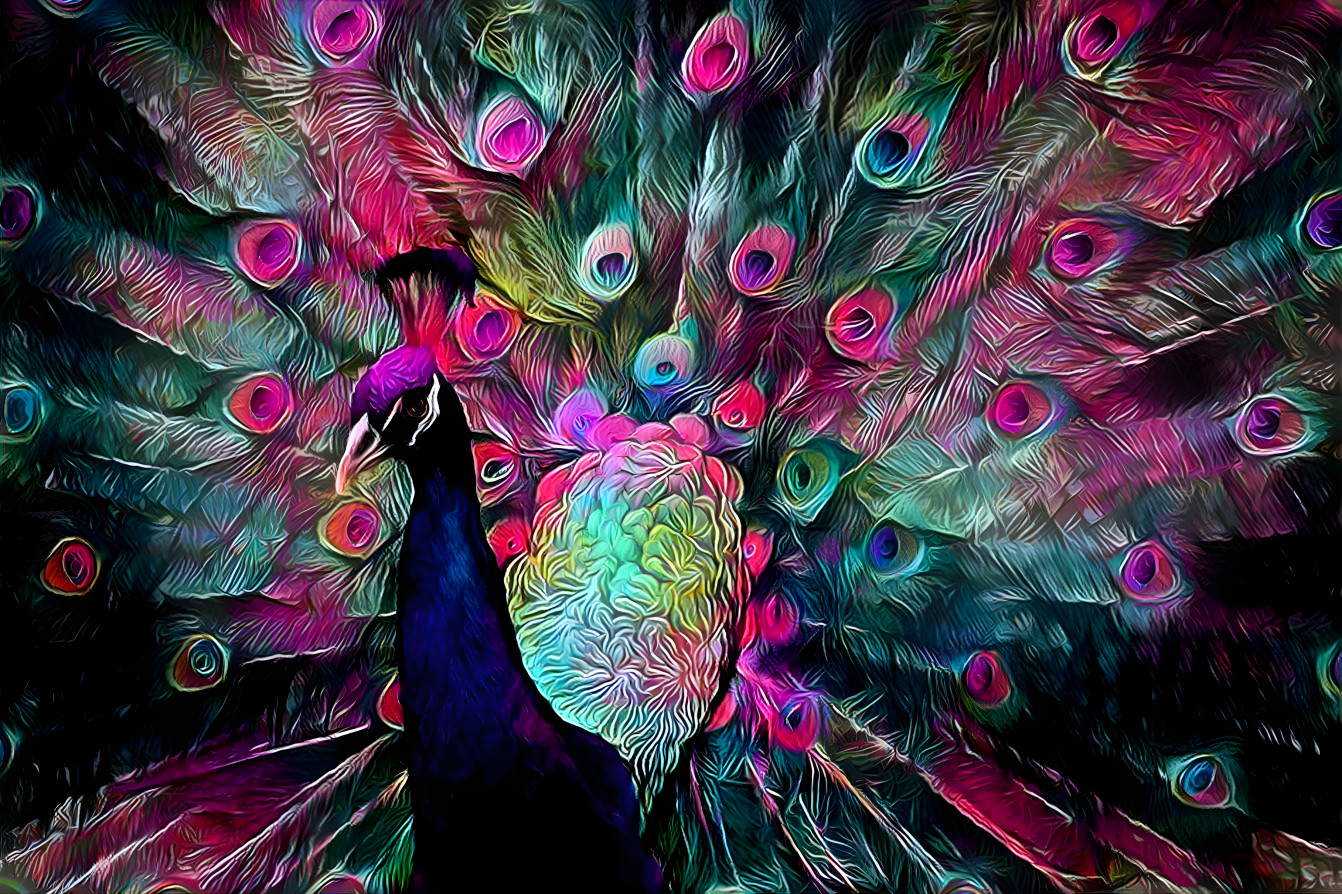 Peacock