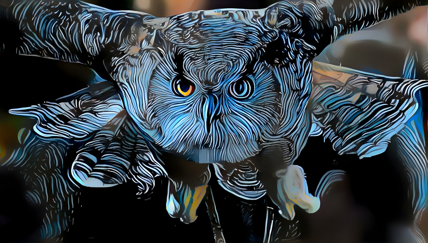 Owl