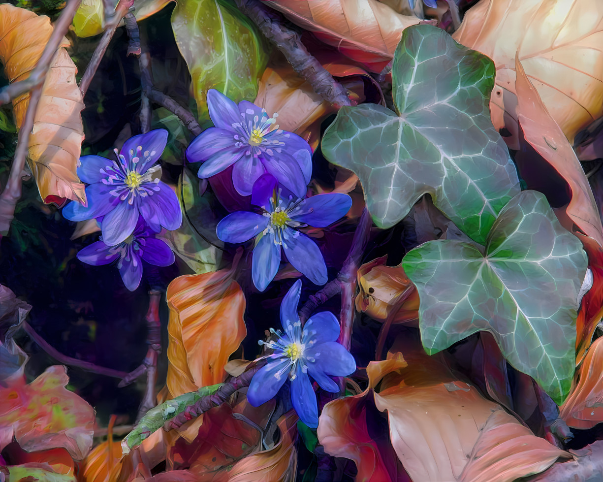 The Liverworts are in Bloom. Pure Joy! 