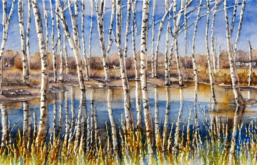 Tranquil watercolor painting of serene pond and birch trees