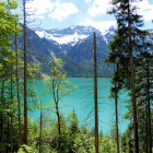 Tranquil cabin painting by a clear lake with pine trees and mountains