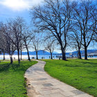 Tranquil park landscape with cherry trees, dirt path, and sunny day