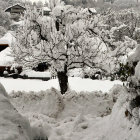 Snow-covered winter landscape with trees, houses, fence, and snowy path under cloudy sky