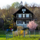 Tranquil scene: quaint house, pink trees, pond, birds