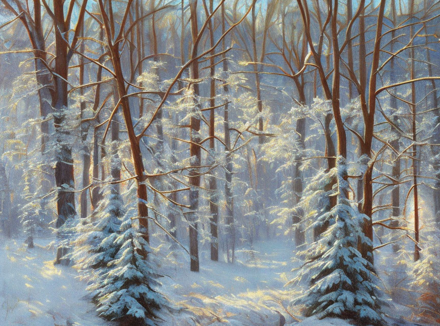 Snow-covered pine trees in serene winter forest scene