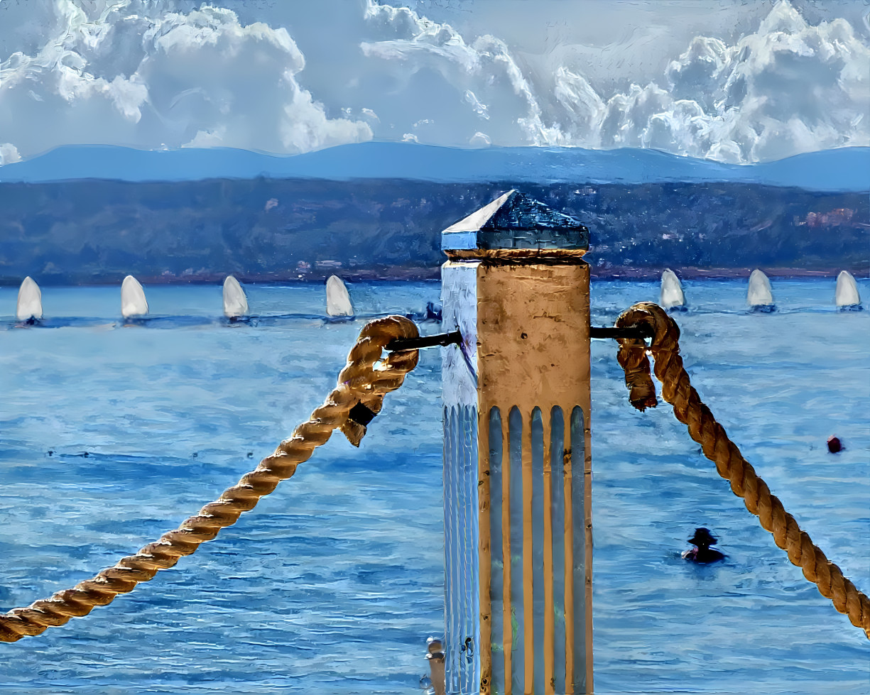 Sailing Students are Drawn to the Start.