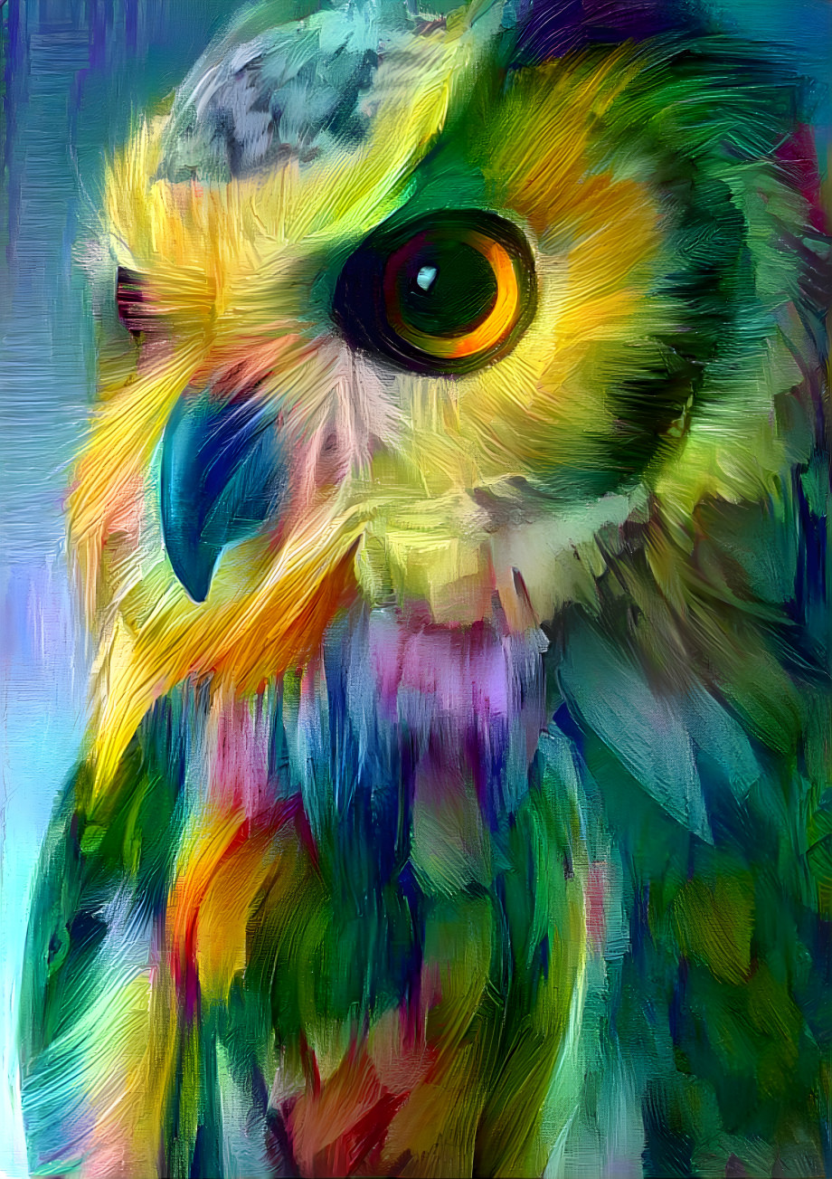 Rainbow Owl 2