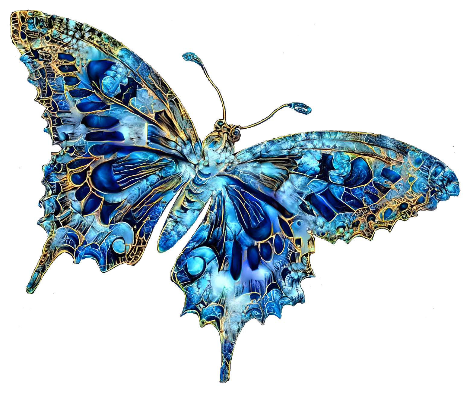 Diamond Blue Butterfly