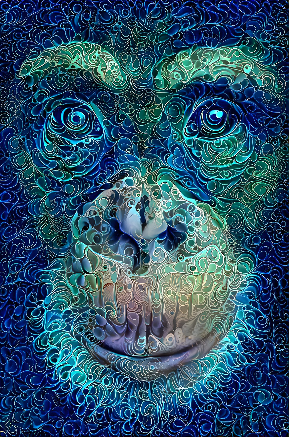 Chimpanzee