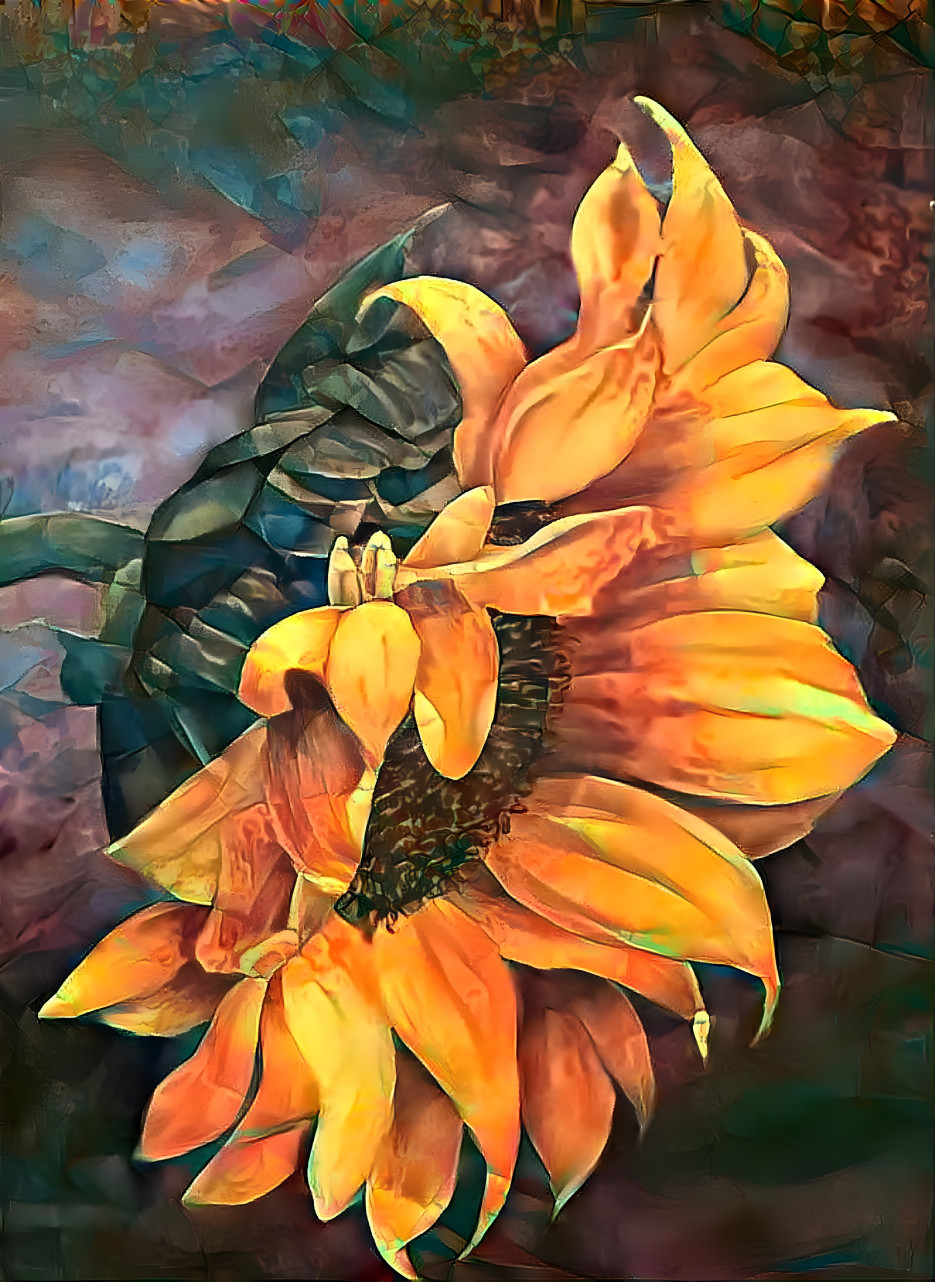 Autumn Sunflower