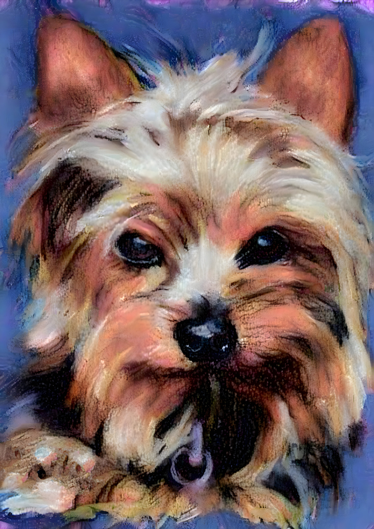 Cute Yorkshire Terrier Dog