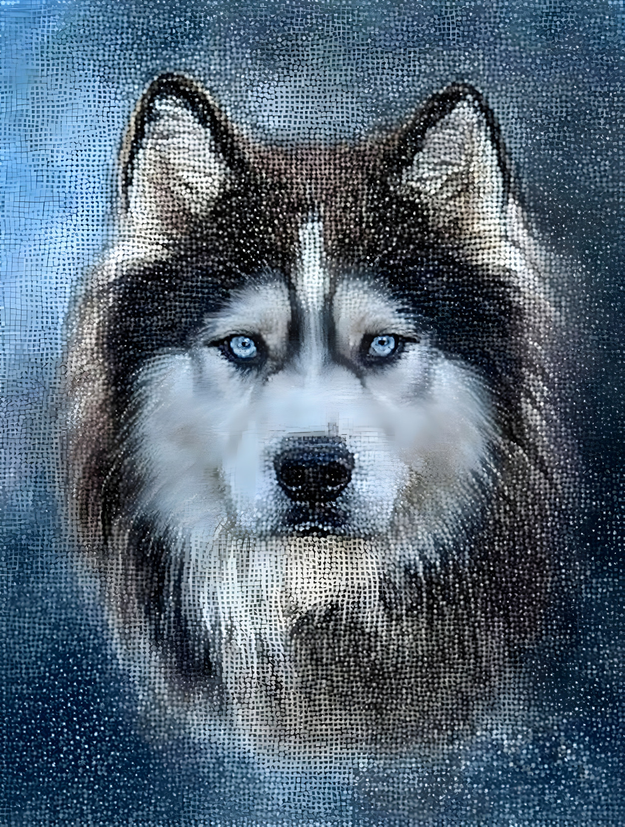 Siberian Husky