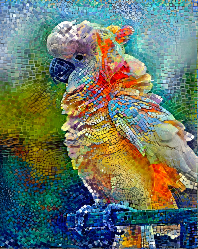 Owl Of Many Colours