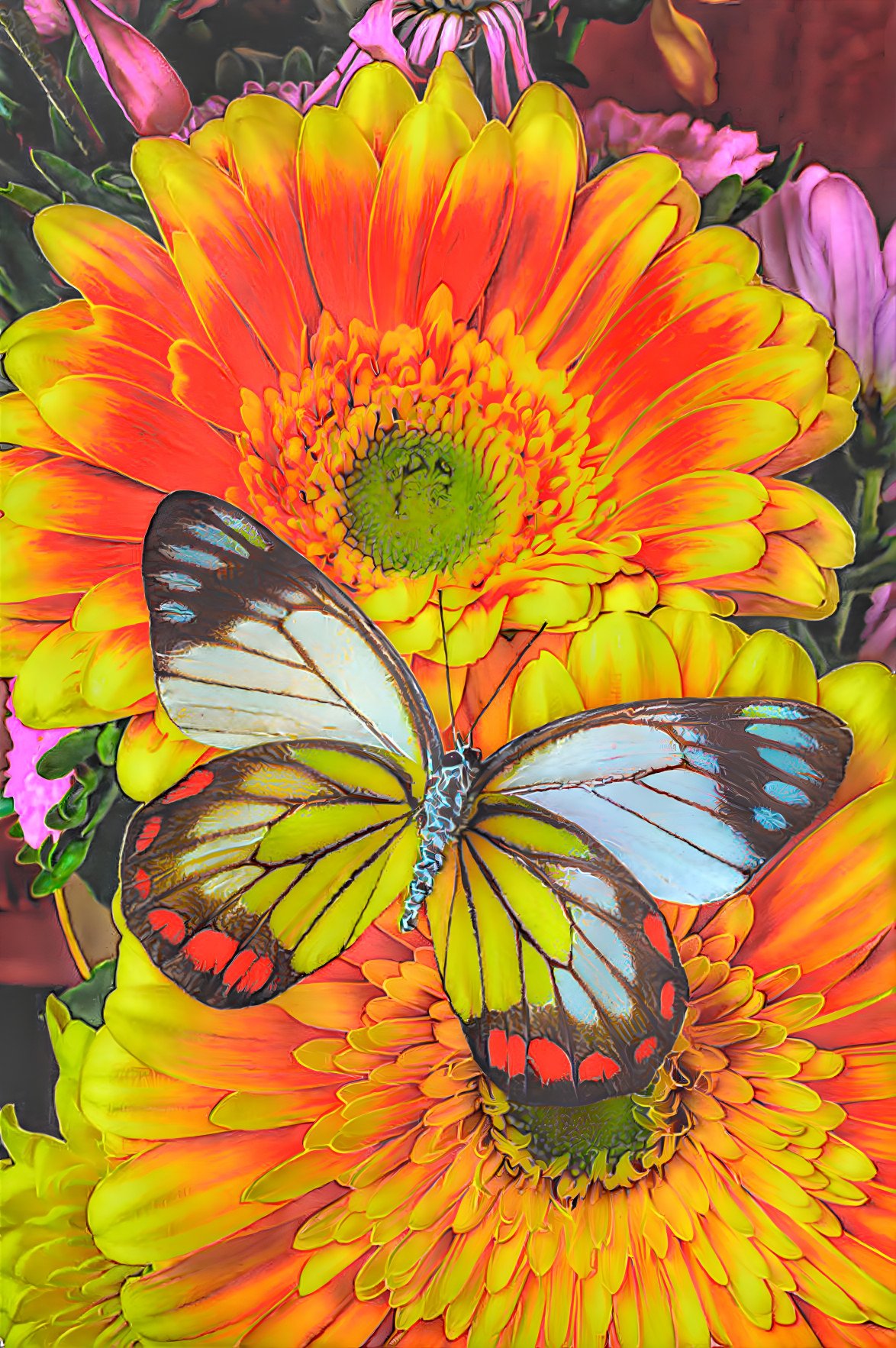 Peacock Butterfly