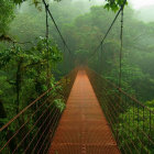 Tranquil Park Scene: Wooden Bridge, Flower Paths, Blooming Trees