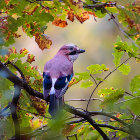 Colorful Bird Perched on Autumn Branch with Water Droplets and Bokeh Light