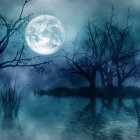 Tranquil full moon night scene with silhouetted trees and water reflections