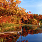 Couple Embracing on Dock in Vibrant Autumn Scene