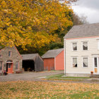 Sunset farm scene: red barns, grazing animals, lush trees, field of red flowers under